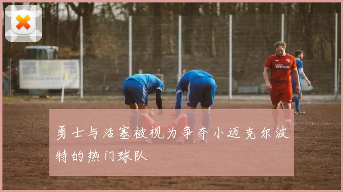 勇士与活塞被视为争夺小迈克尔波特的热门球队